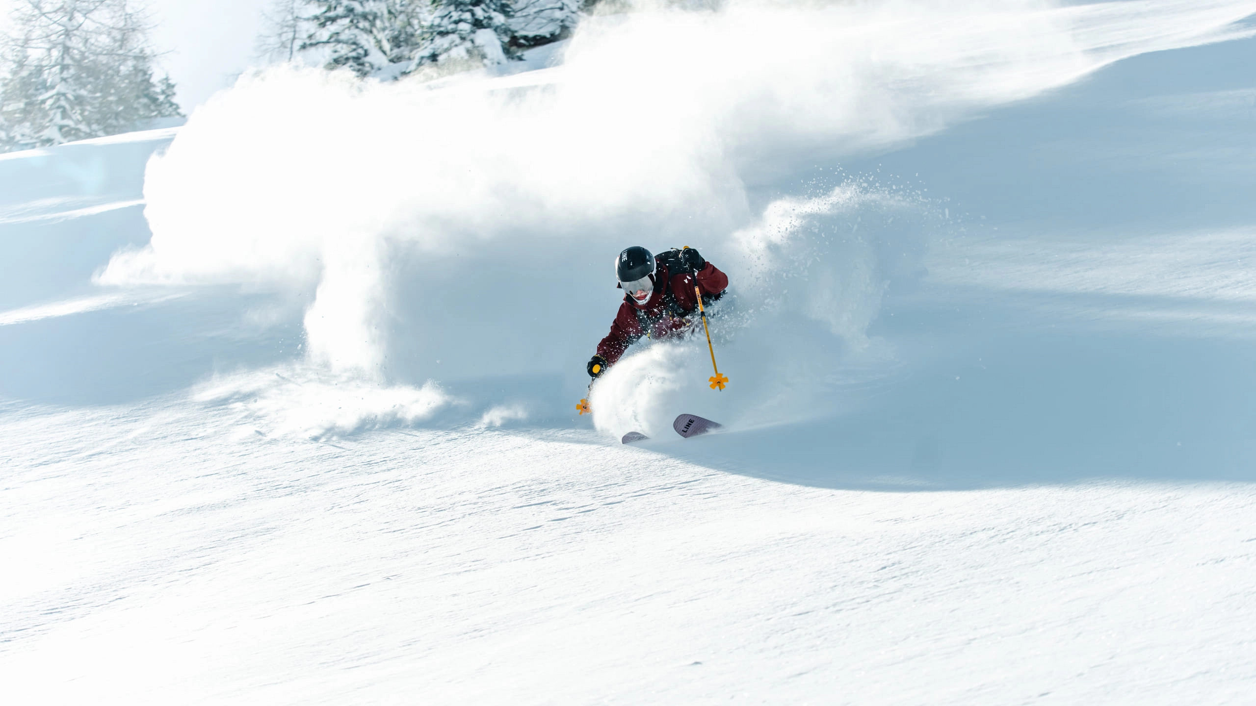 Skifahrer, der durch tiefen Schnee fährt, umgeben von winterlichen Bäumen